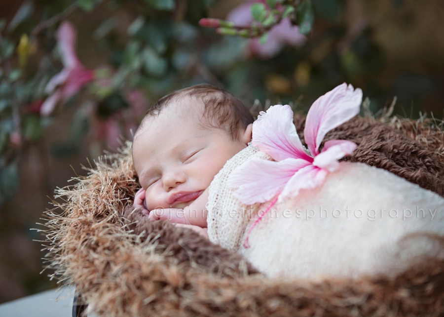 Hawaii newborn photo session