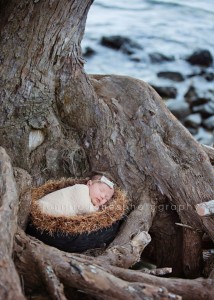 Hawaii newborn photography